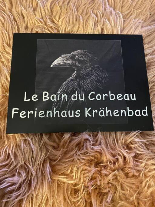 Le Bain Du Corbeau - Schwarzwald-Villa Alpirsbach Kültér fotó