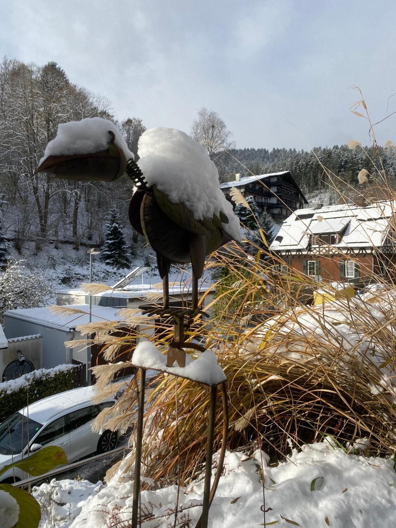 Le Bain Du Corbeau - Schwarzwald-Villa Alpirsbach Kültér fotó